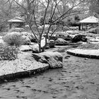  Winterstimmung im Japanischen/Botanischen Garten.