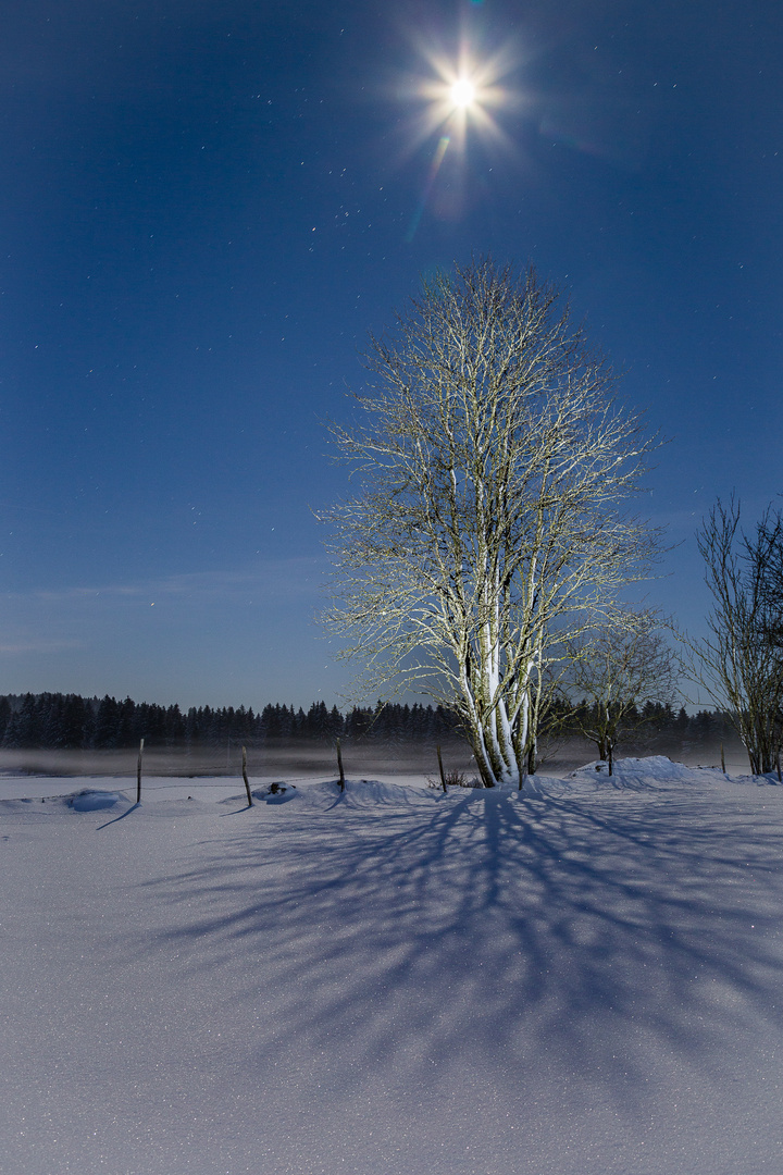 Winterstimmung im Jura