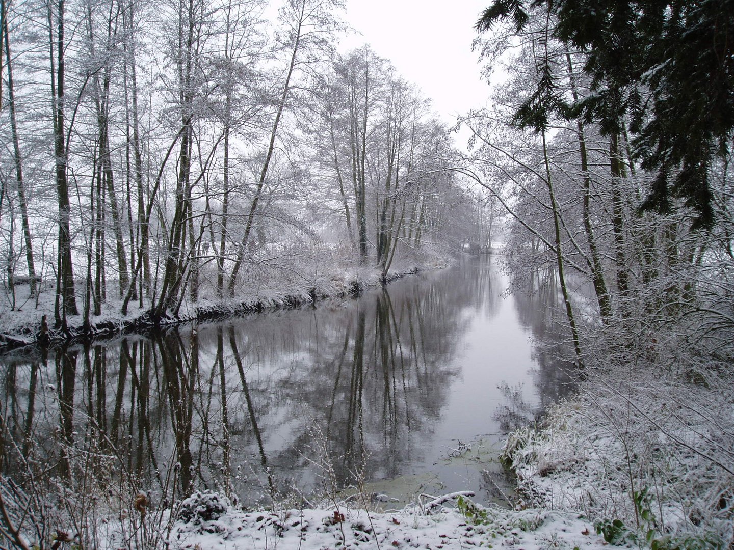 Winterstimmung im Krumker Park (Sachsen-Anhalt)