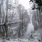 Winterstimmung im Krumker Park (Sachsen-Anhalt)