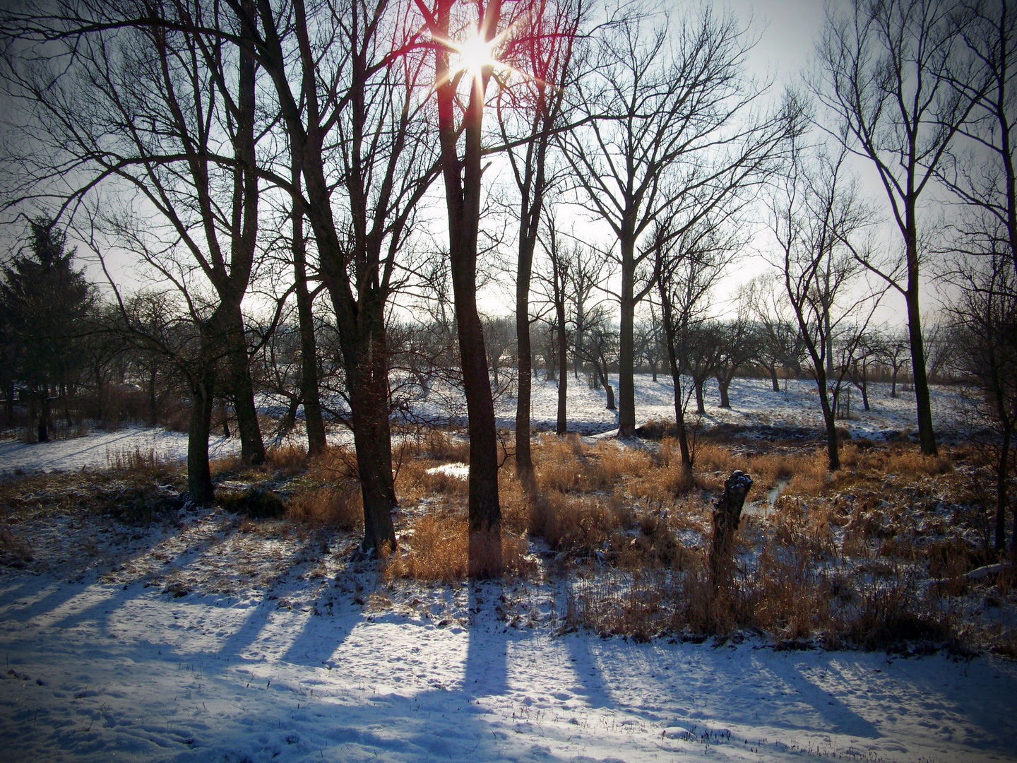 Winterstimmung im Oderbruch