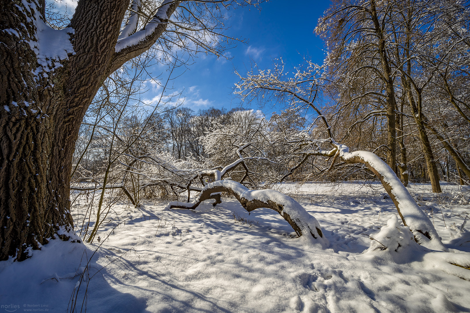 Winterstimmung im Park