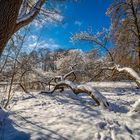 Winterstimmung im Park