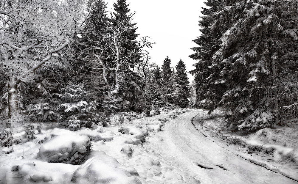 Winterstimmung im Reinhardswald