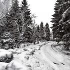 Winterstimmung im Reinhardswald