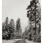 Winterstimmung im Schwäbischen Wald