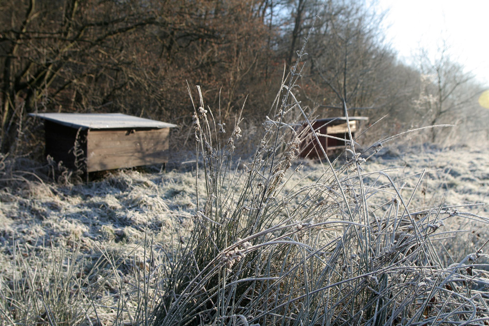 Winterstimmung im Siegerland 2