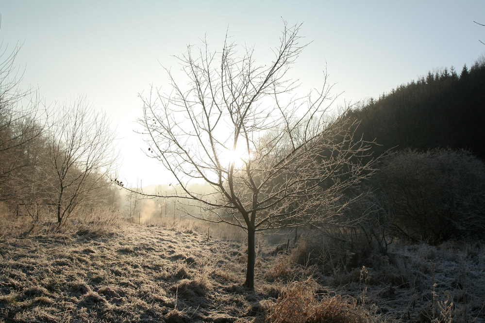 Winterstimmung im Siegerland 6