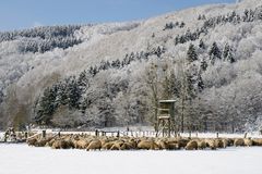 Winterstimmung im Siegtal, Widmung an den Schäfer Thomas Stumm