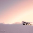 Winterstimmung im Unterharz