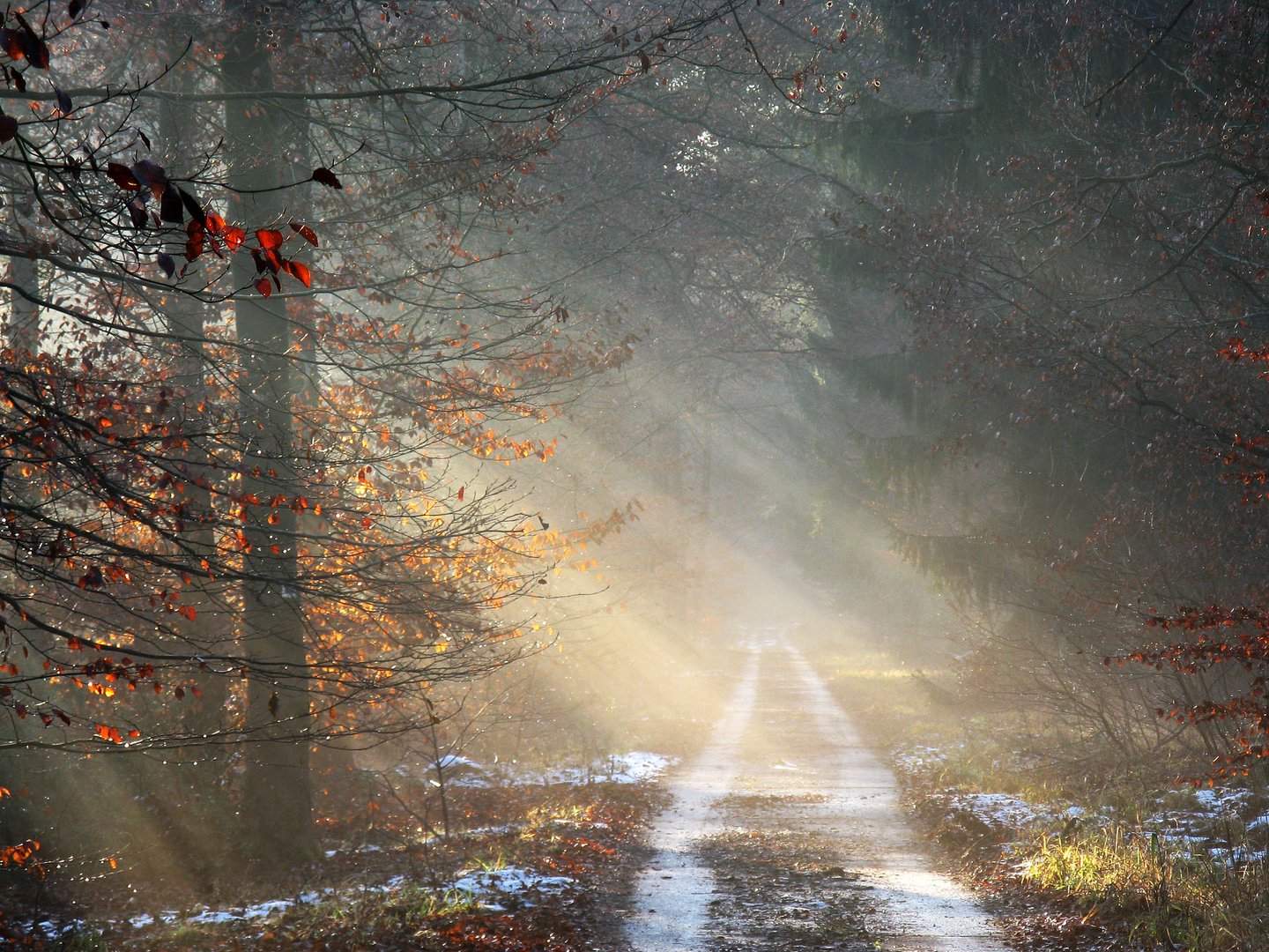 Winterstimmung im Viernheimer Wald