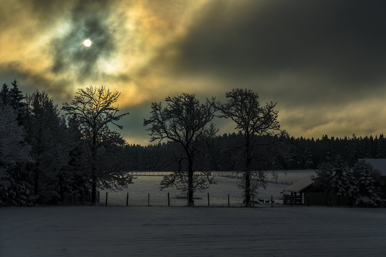 Winterstimmung im Vogtland