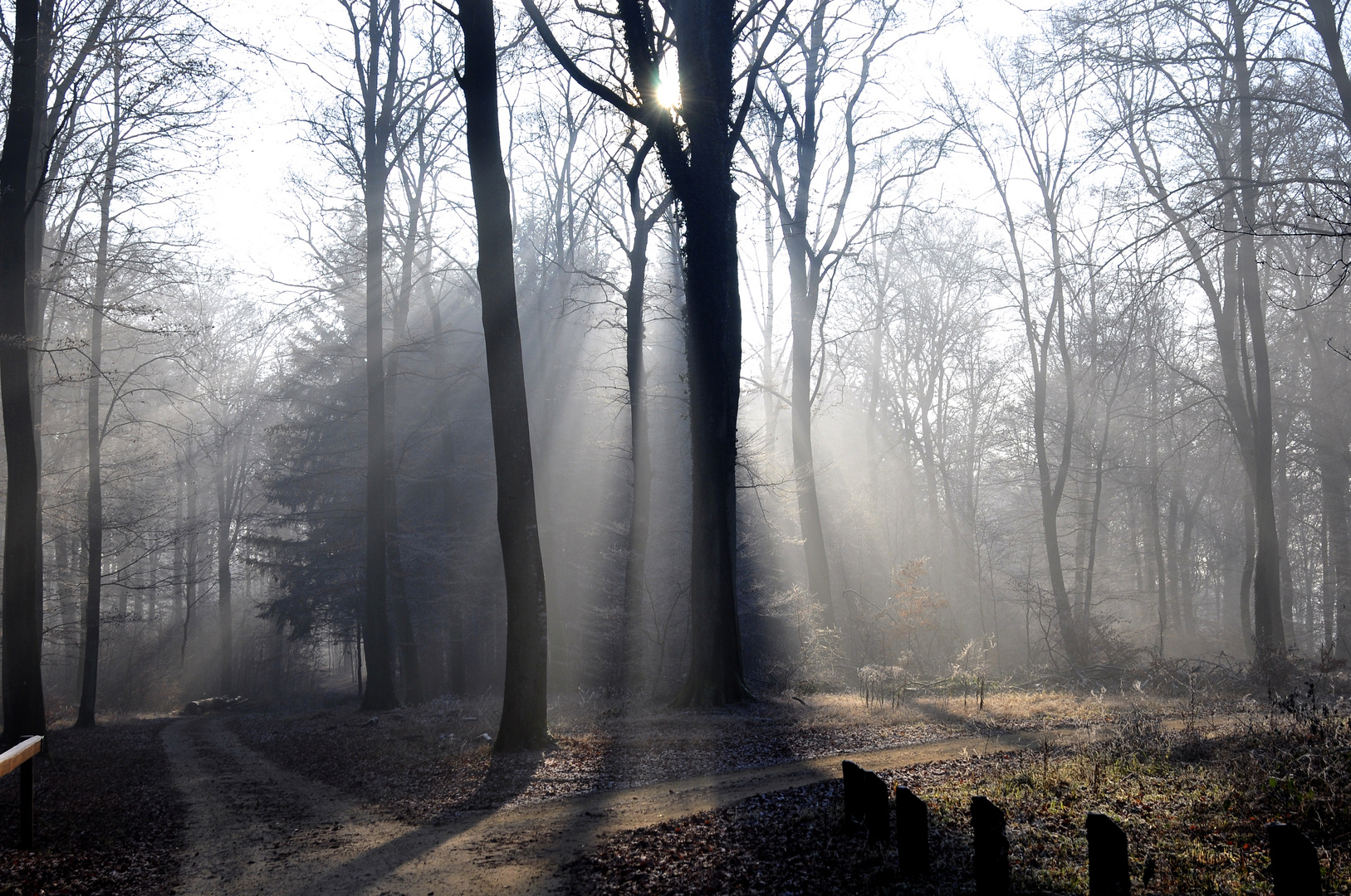 Winterstimmung im Wald