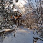 Winterstimmung im Zoo Leipzig