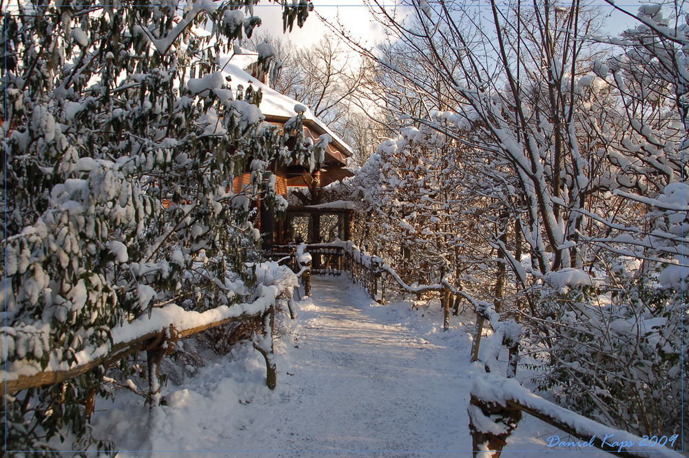 Winterstimmung im Zoo Leipzig