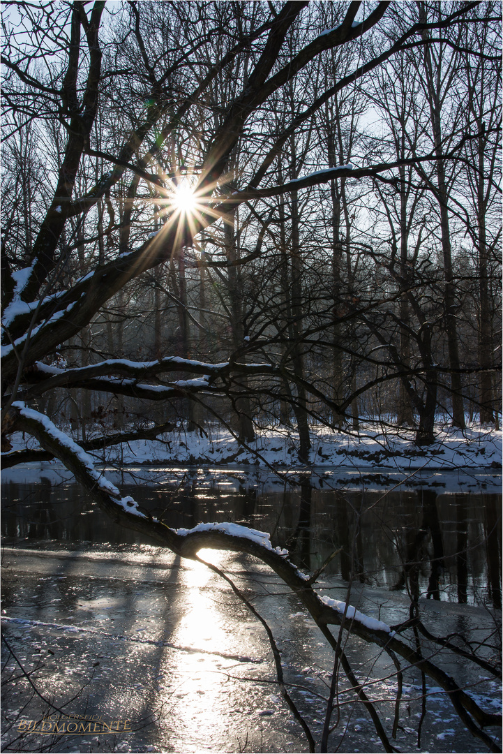 Winterstimmung im Zschopauthal bei Lichtenwalde