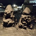 Winterstimmung in Appenzell