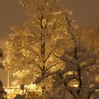 Winterstimmung in Bern