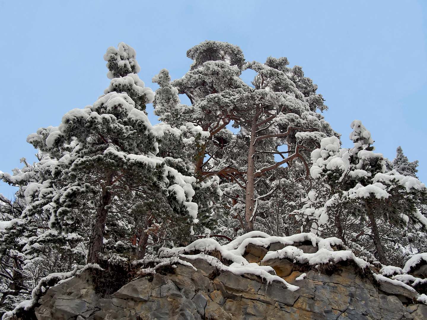 Winterstimmung in den Bergen - L'hiver à la montagne.