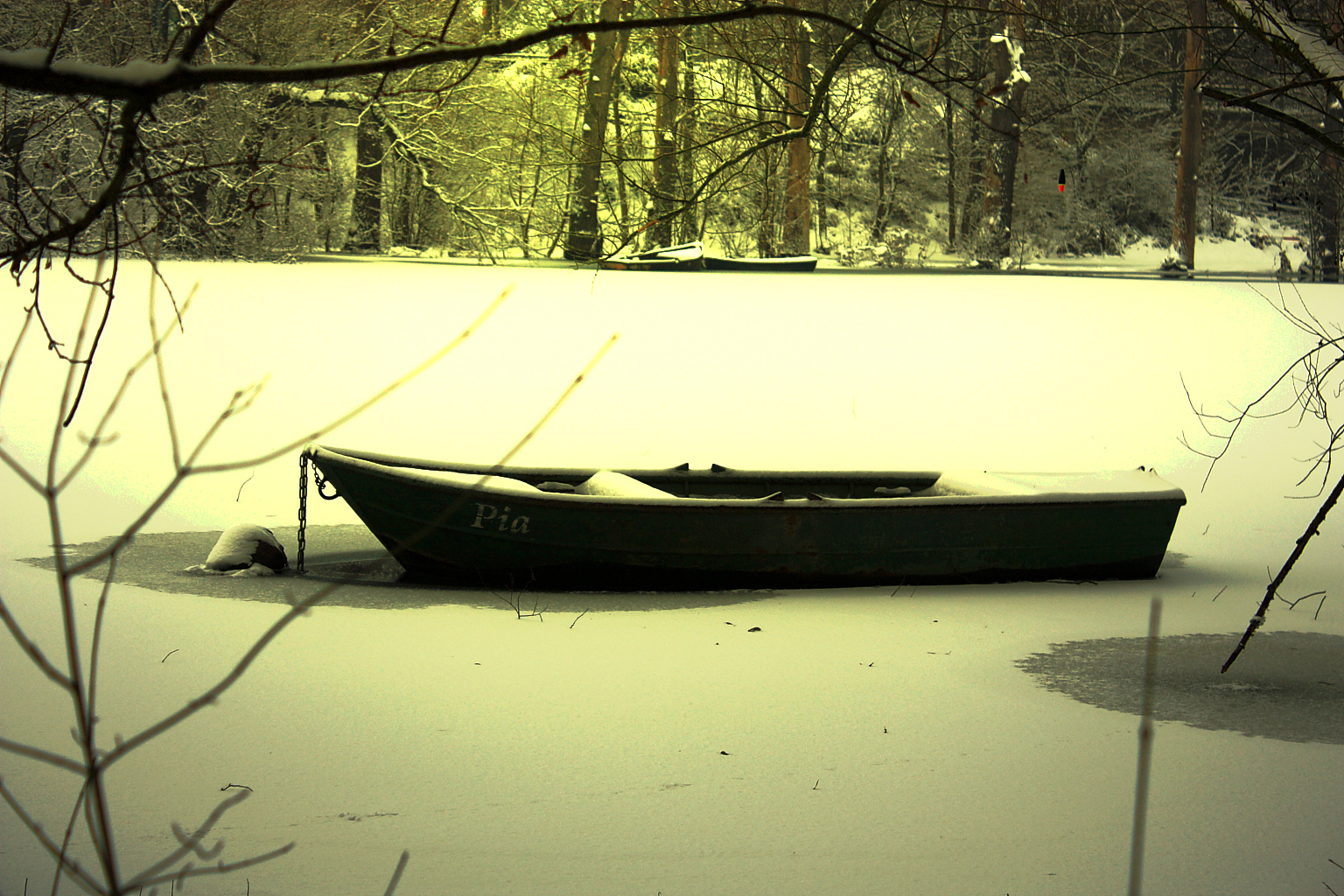 Winterstimmung in den Siegauen