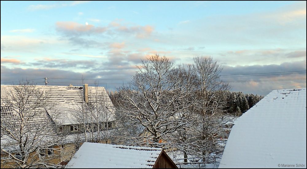 Winterstimmung in der Abendsonne...