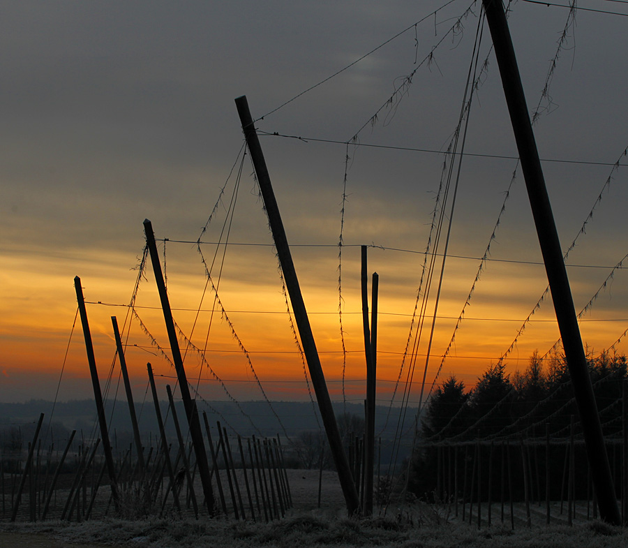 Winterstimmung in der Holledau