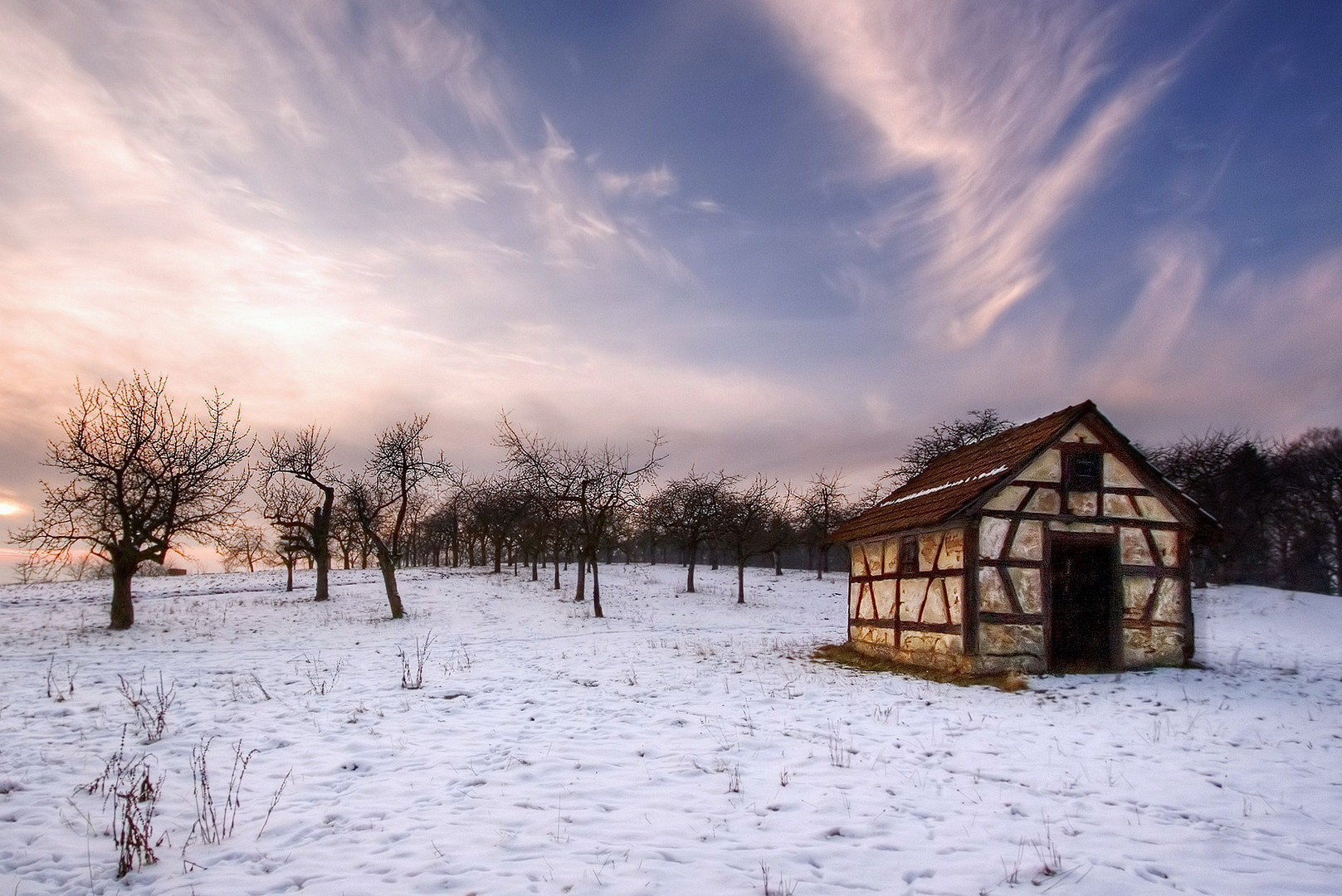 Winterstimmung in der Kirschplantage