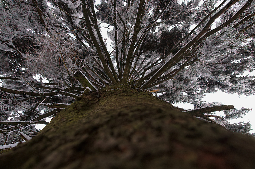 Winterstimmung in der Röhn