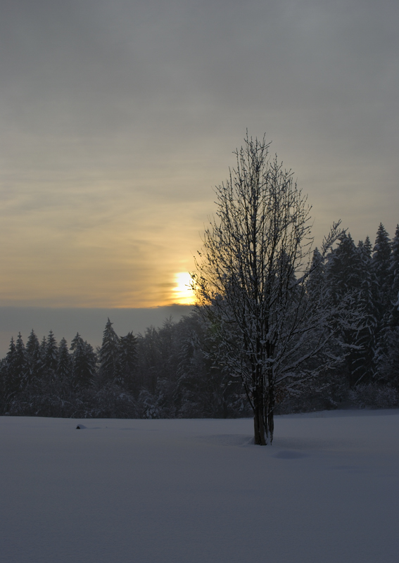 Winterstimmung in Freyung