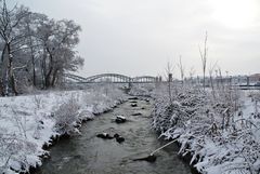 Winterstimmung in Gustavsburg bzw. Hochheimerwiese