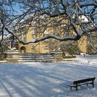 Winterstimmung in Karlsruhe