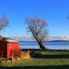 Winterstimmung in Neukamp / Rügen