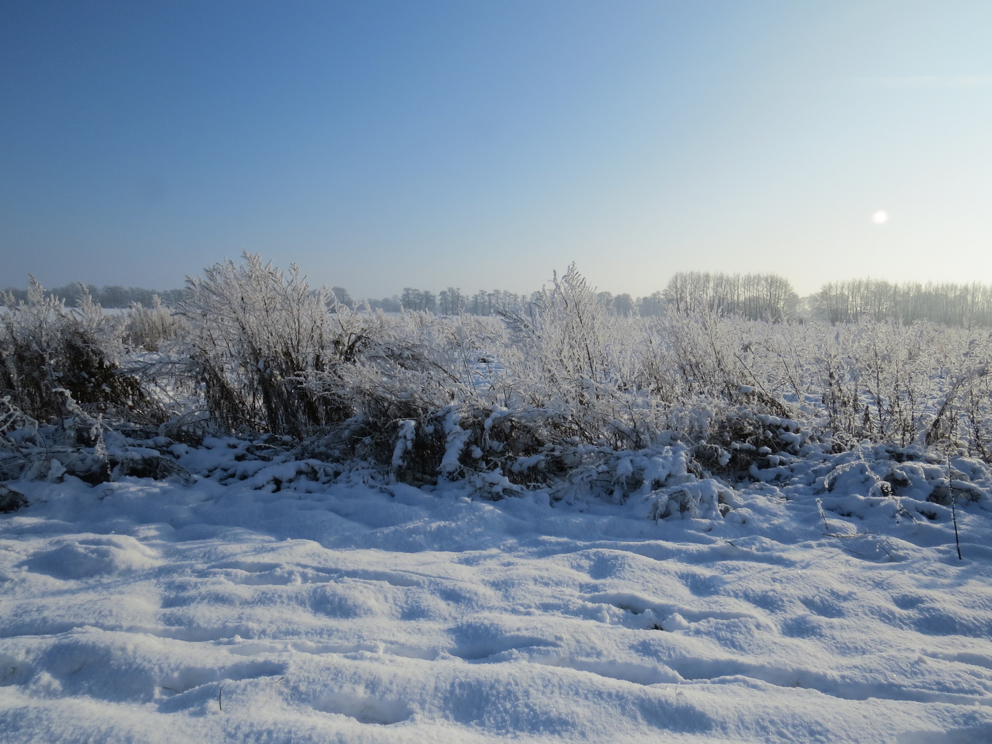 Winterstimmung in Norddeutschland 