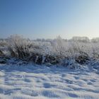 Winterstimmung in Norddeutschland 