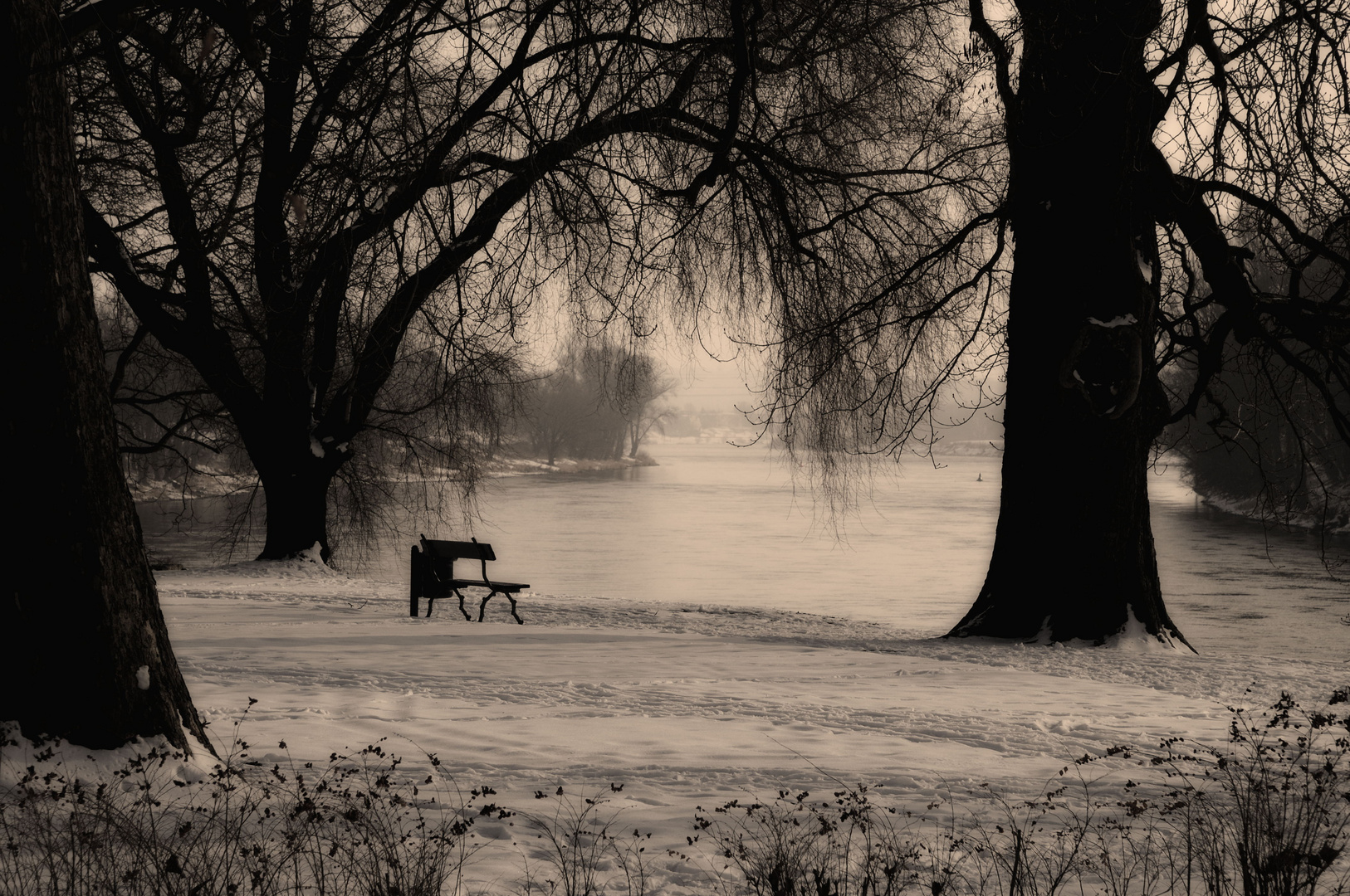 Winterstimmung in Pillnitz