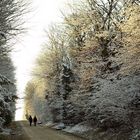 Winterstimmung in Schönbrunn