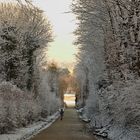 Winterstimmung in Schönbrunn