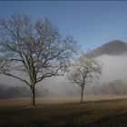 Winterstimmung in Treminis