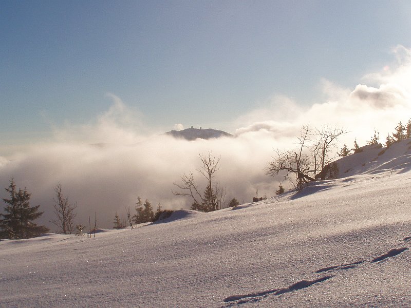 Winterstimmung mit Hochnebel und Sonne auf 1300 m