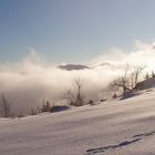 Winterstimmung mit Hochnebel und Sonne auf 1300 m