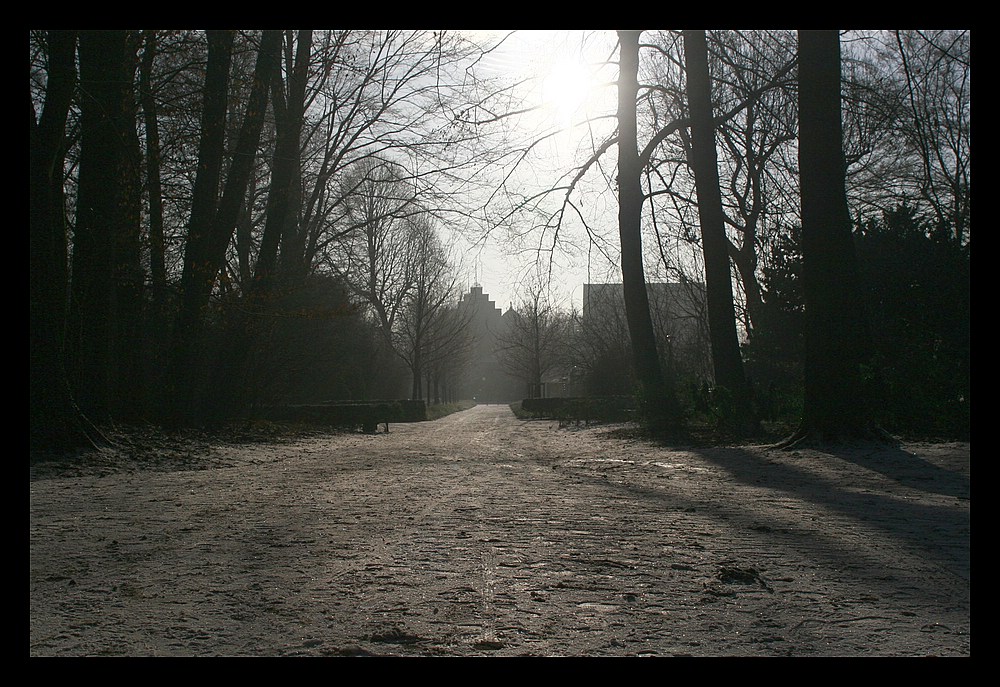 Winterstimmung mit tiefstehender Sonne