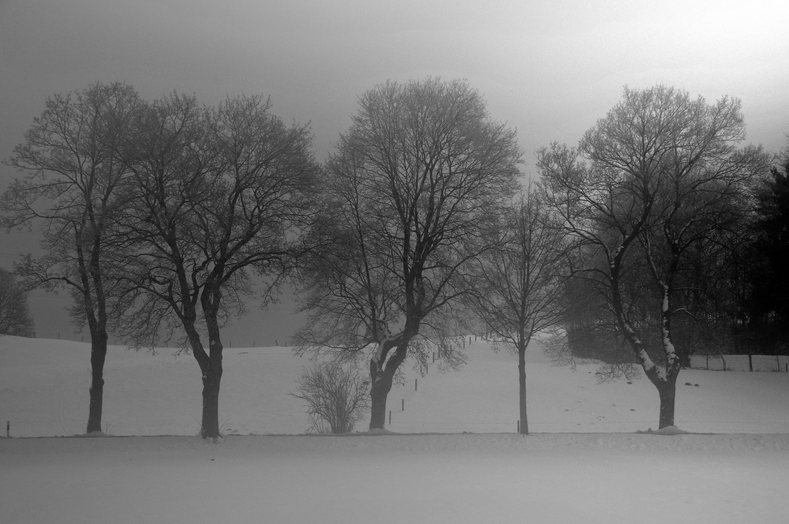 Winterstimmung morgens in Bayern