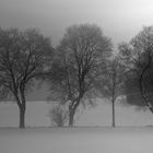 Winterstimmung morgens in Bayern