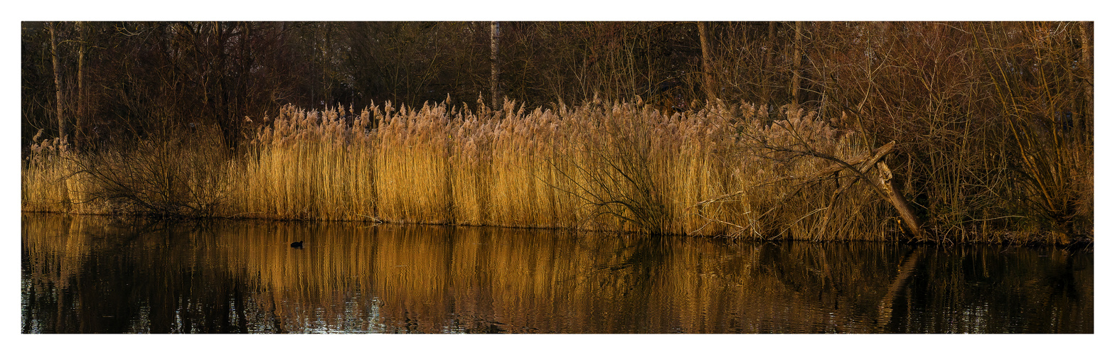 Winterstimmung ohne Schnee