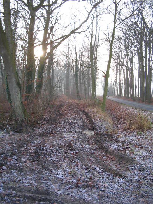 Winterstimmung ohne Schnee