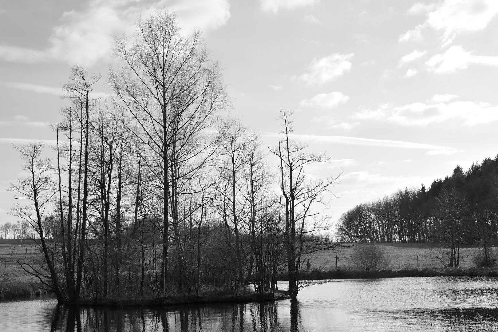 Winterstimmung ohne Schnee