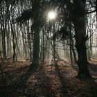 Winterstimmung ohne Schnee dafür im Nebel