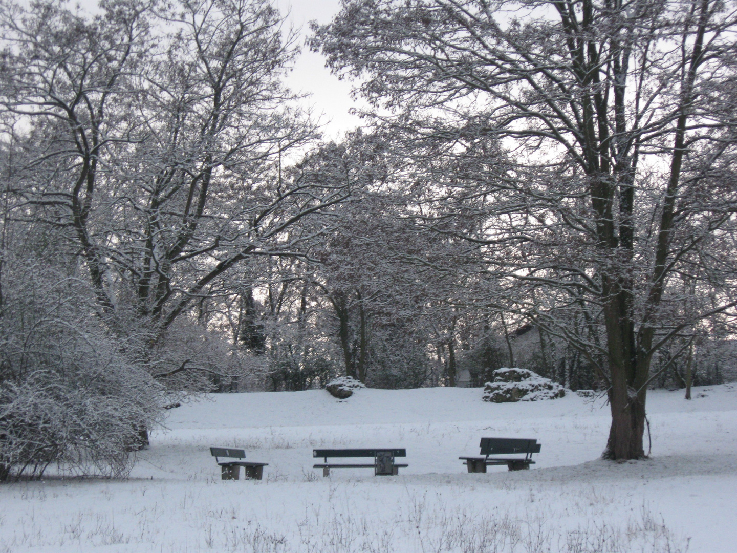 Winterstimmung Roemersteine_Mainz