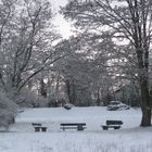 Winterstimmung Roemersteine_Mainz