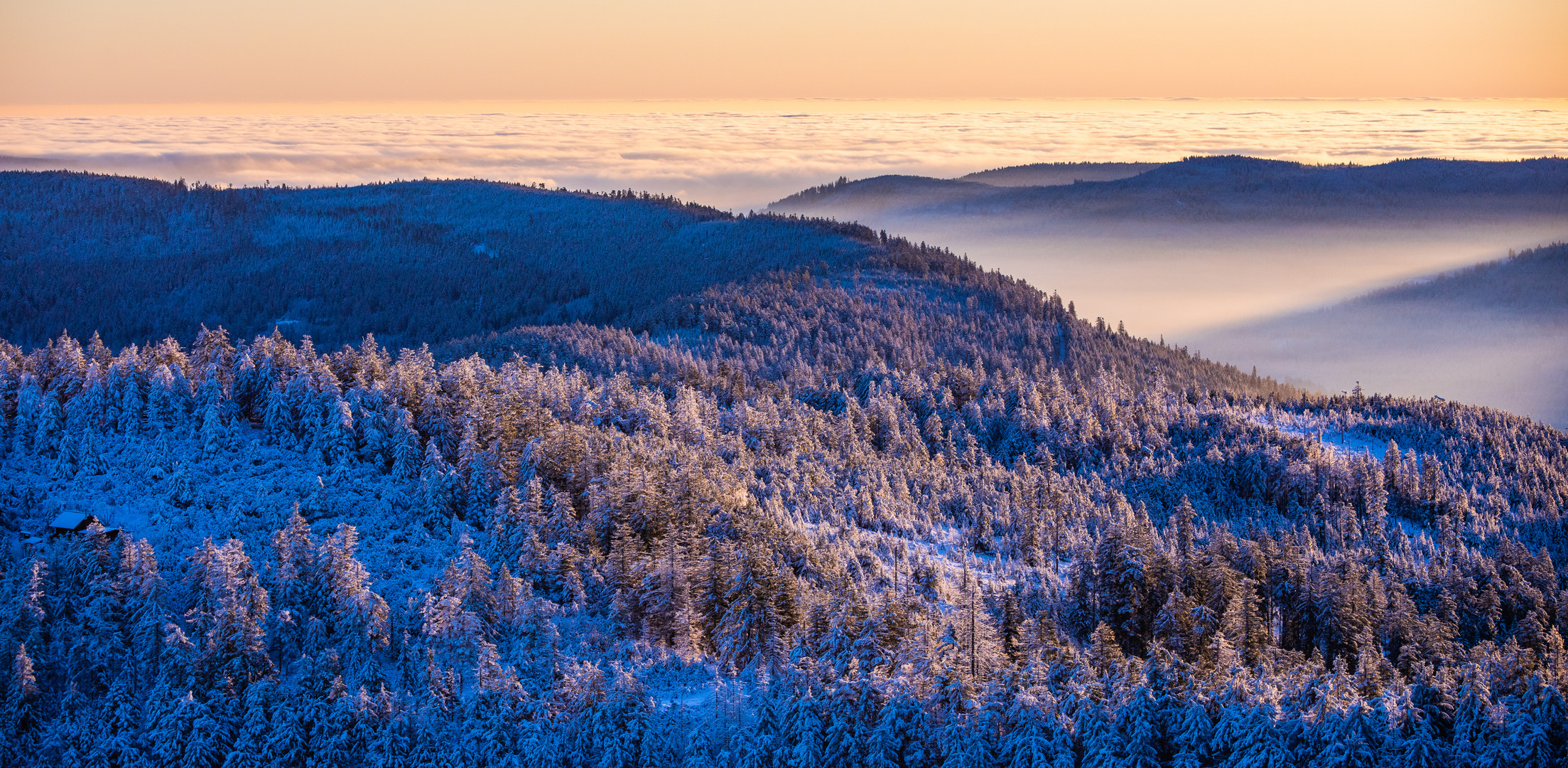 Winterstimmung überm Nebelmeer